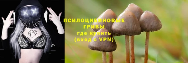 гидра Новокубанск