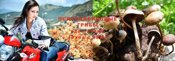 скорость mdpv Новодвинск