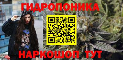 спайс Аргун