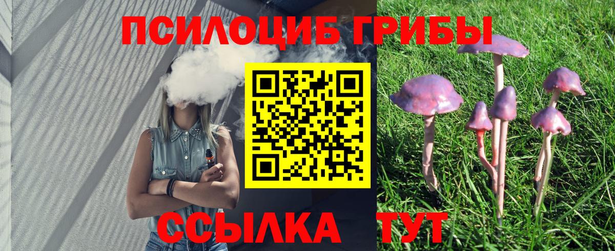 Галлюциногенные грибы GOLDEN TEACHER Удомля