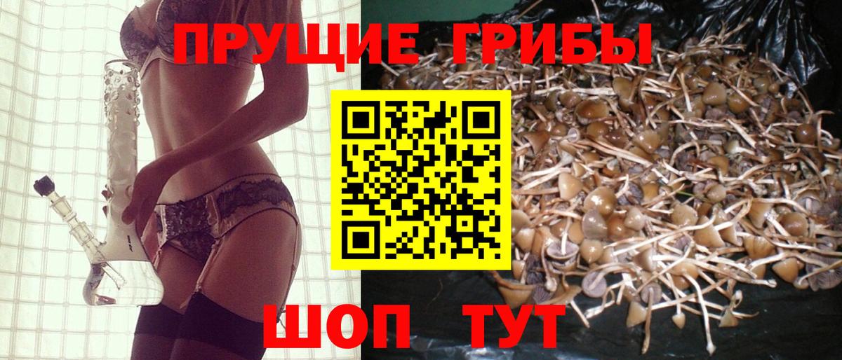 Галлюциногенные грибы Magic Shrooms  Вход с VPN  даркнет сайт  Удомля 