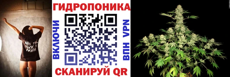 Канабис сатива  Удомля 