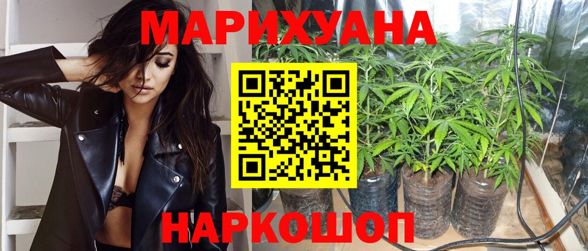 Конопля гибрид Удомля